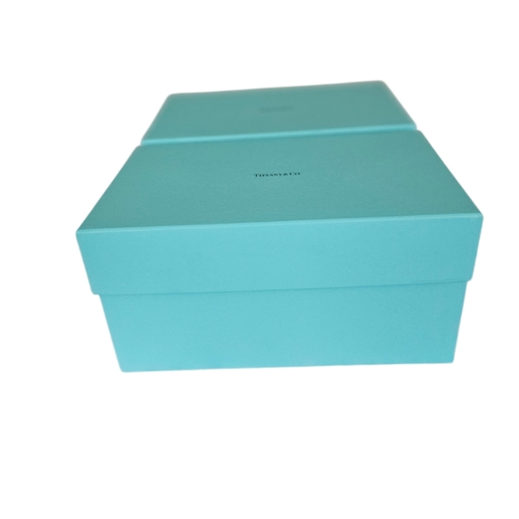 Tiffany & Co. Tiffany  Blue Luxury Shopping Bags & Two  Empty Boxes - Picture 3 of 8
